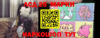 прущие грибы Моздок