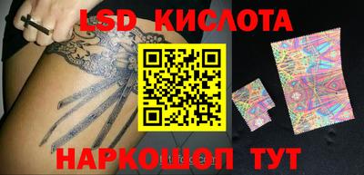 прущие грибы Моздок