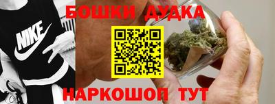 прущие грибы Моздок