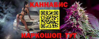 прущие грибы Моздок
