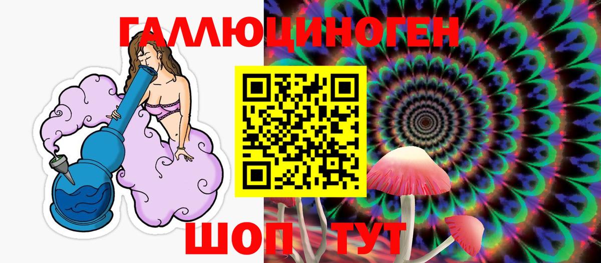 Галлюциногенные грибы Psilocybine cubensis Нягань